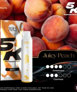 Jues 5000 Puffs Juicy Peach